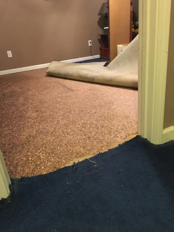 Carpet pad removal revealing water damage during Drying & Dehumidification in Ithaca