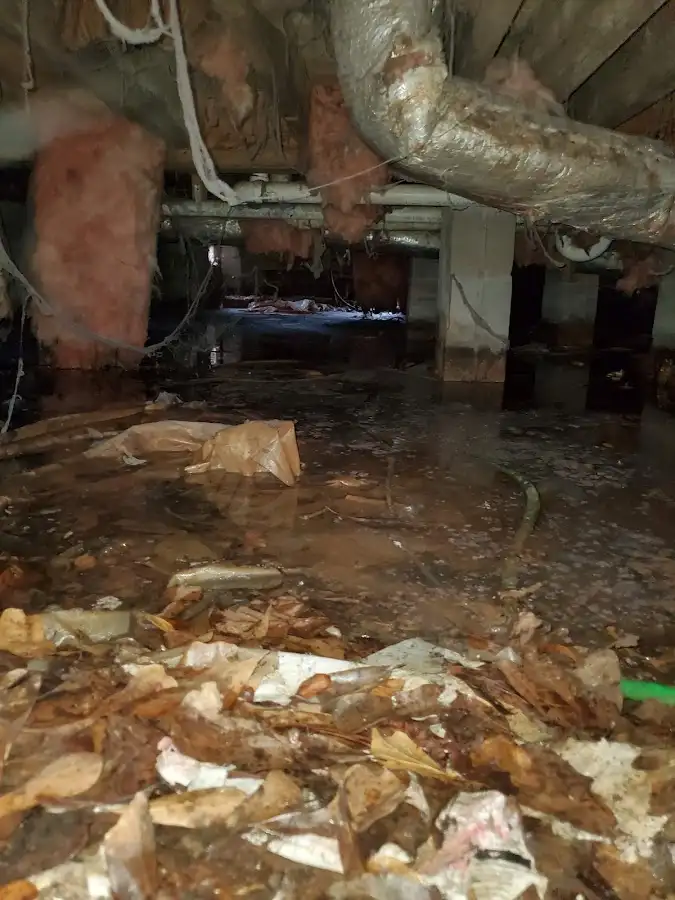 Crawl space flood assessment for Commercial Water Damage Restoration in Ithaca