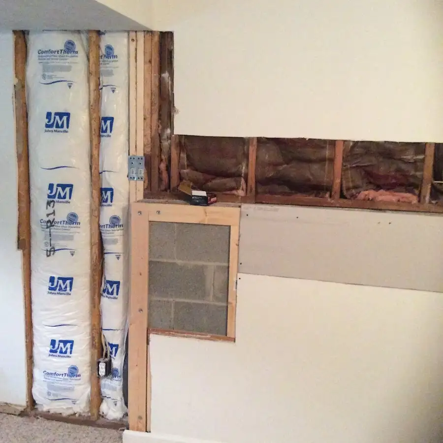 Wall insulation replacement during Odor Removal & Deodorization in Ithaca
